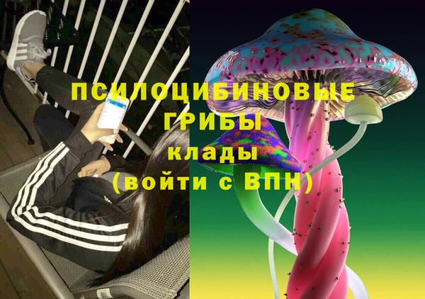 бутират Алексеевка