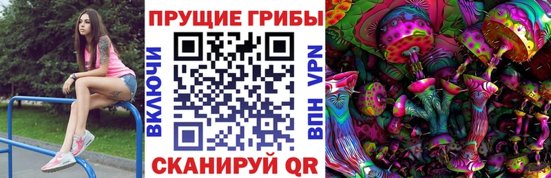 Псилоцибиновые грибы мухоморы  kraken онион  Ярославль 