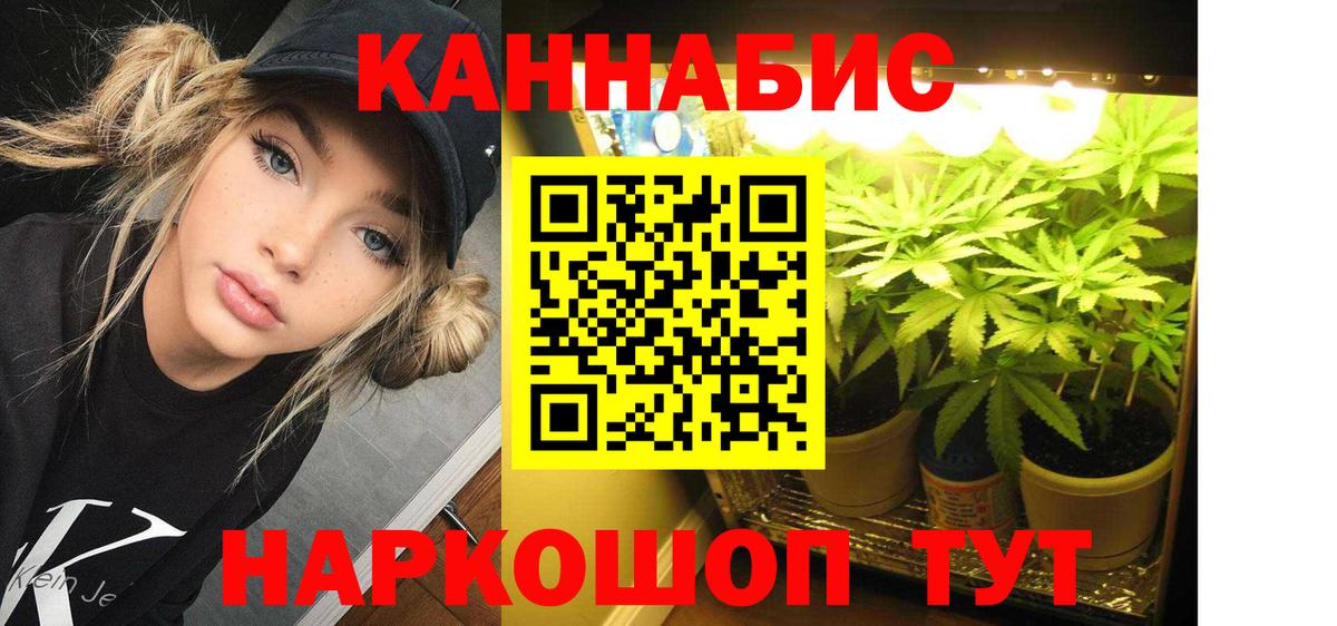 Шишки марихуана тримм  Вход с VPN  Ярославль  Шишки марихуана Amnesia 